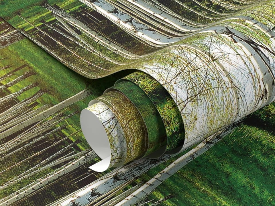 Fototapeta Brzozowy las w słońcu fragment #1