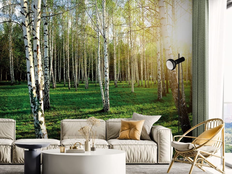 Fototapeta Brzozowy las w słońcu we wnętrzu salonu