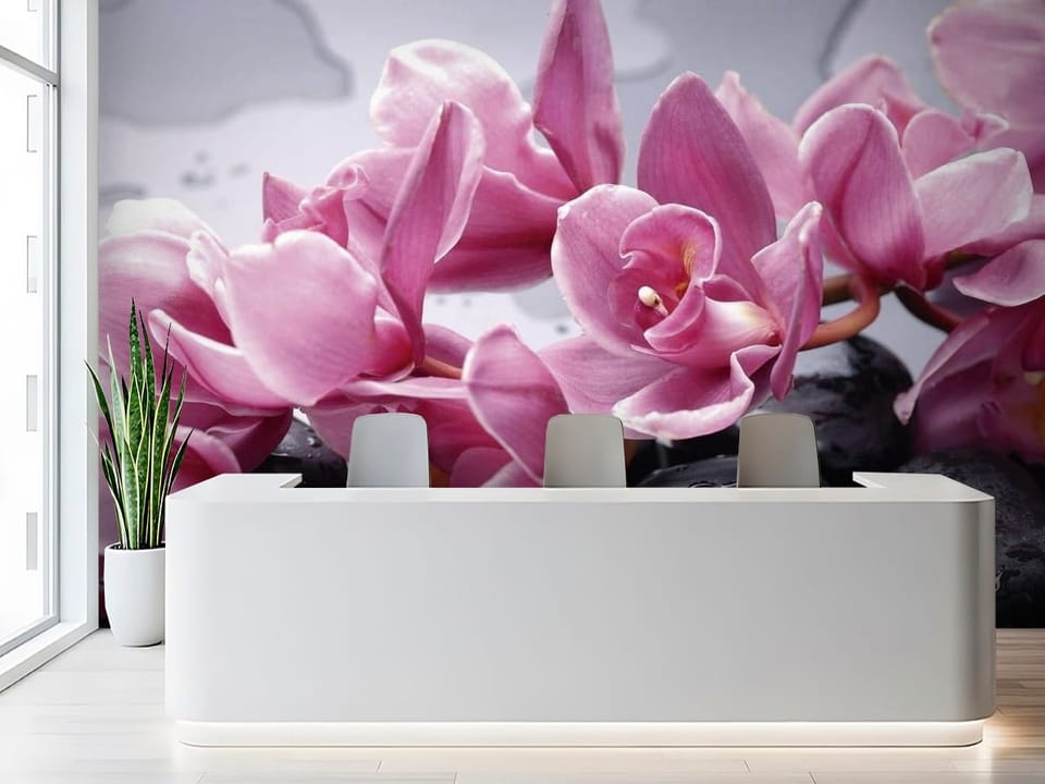 Fototapeta z różowymi orchideami na czarnych, mokrych kamieniach - aranżacja ściany w biurze za ladą recepcyjną
