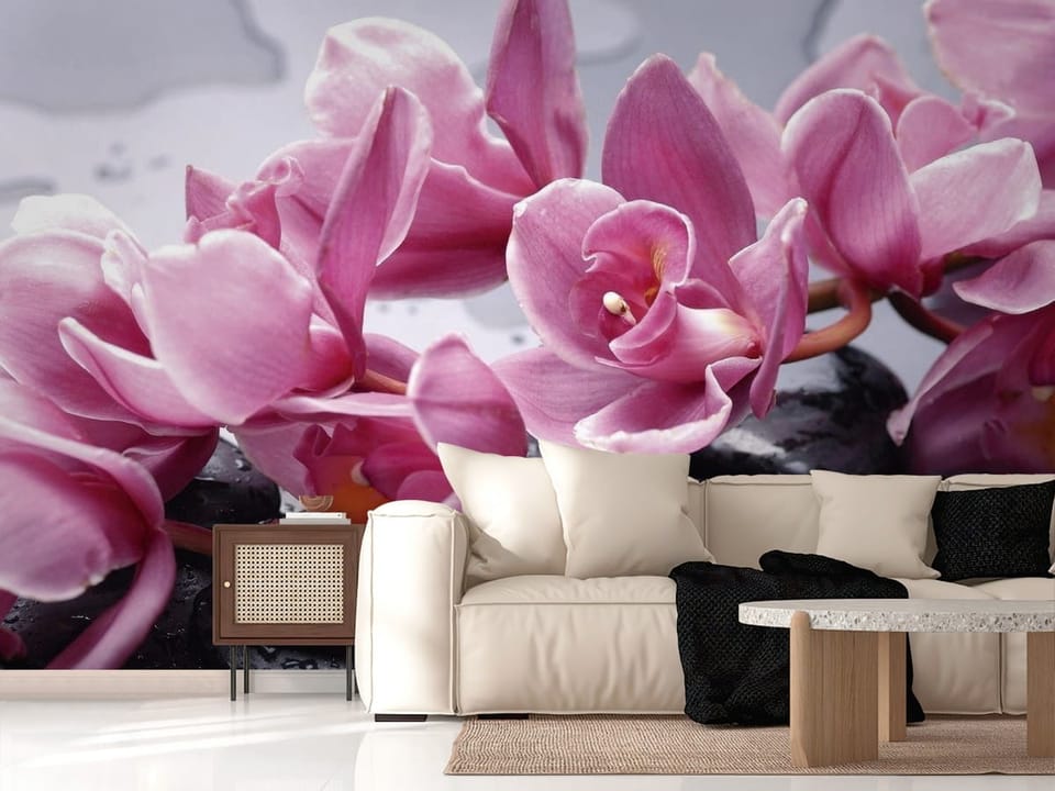 Fototapeta z różowymi orchideami na czarnych, mokrych kamieniach - salon w nowoczesnych kolorach