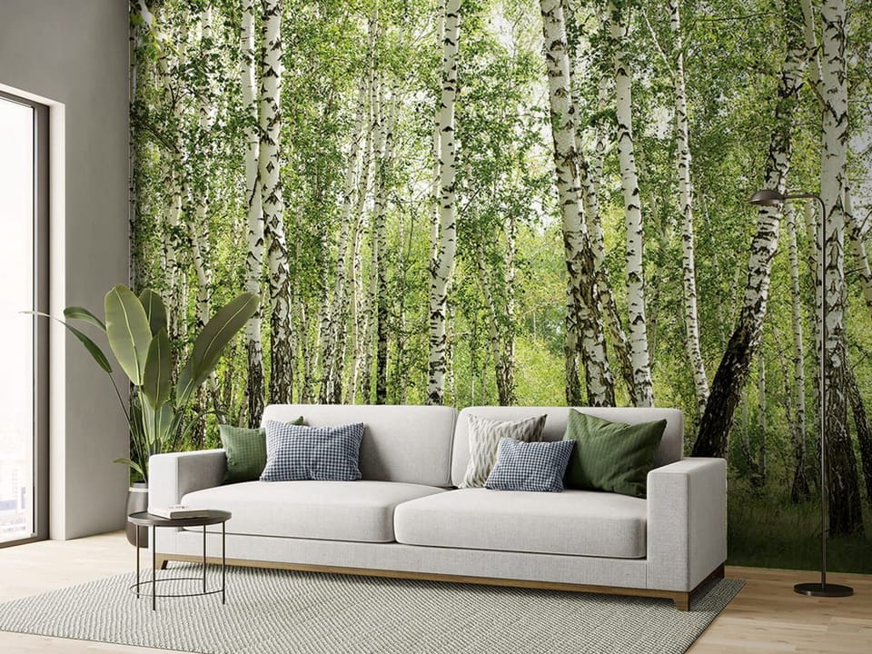 Fototapeta Brzozowy las z zielonym podszytem we wnętrzu salonu